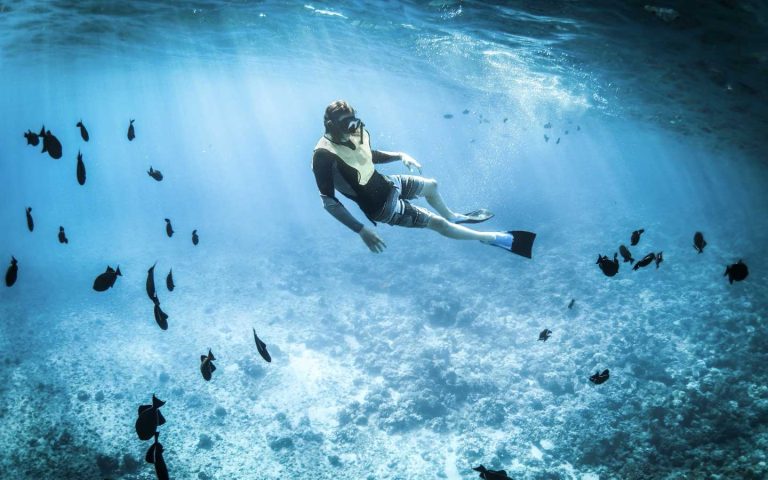 Immersioni