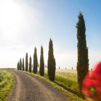 Bike hotel toscana