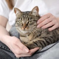 Hotel Pet Friendly Toscana